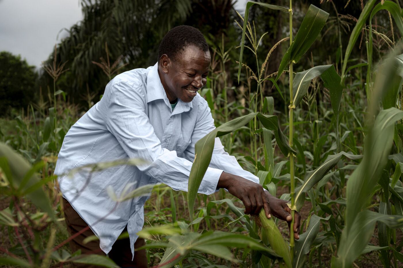 Raven Agribusiness Services